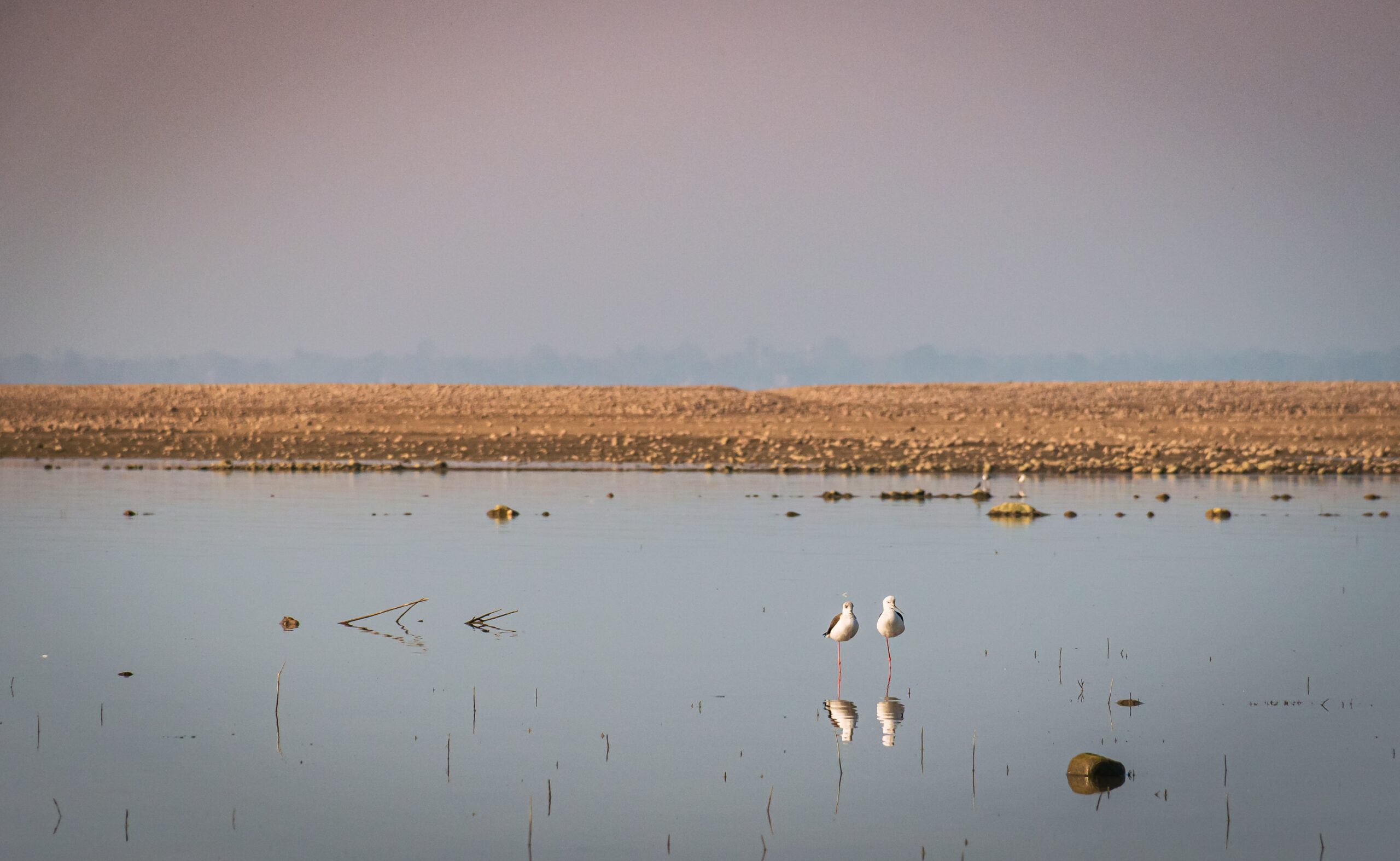 Pong dam