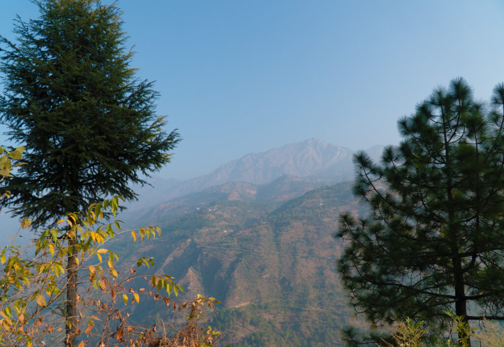 Shali Devi Temple