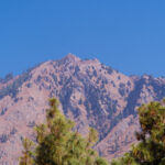 Shali Devi Temple