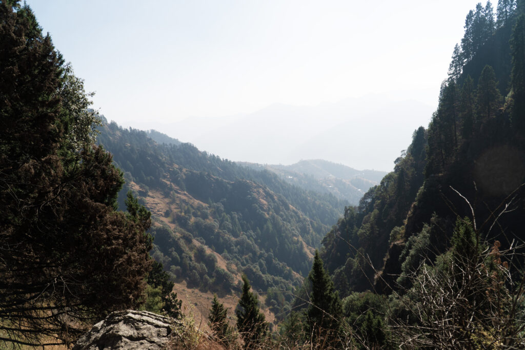 Shali Devi Temple