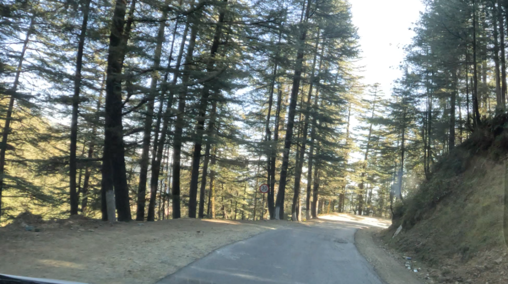 Visit to Kali Tibba Chail - Road approaching through Devdar Jungles